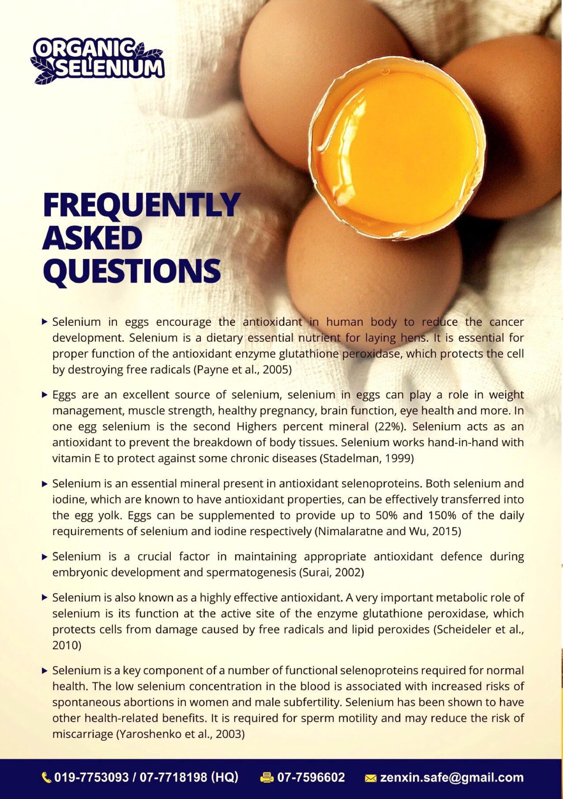 ZENXIN ANTIBIOTIC FREE EGGS (SELENIUM ENRICHED) 10pcs/pack