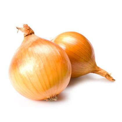 ORGANIC YELLOW ONION 2PCS (2000813014902)